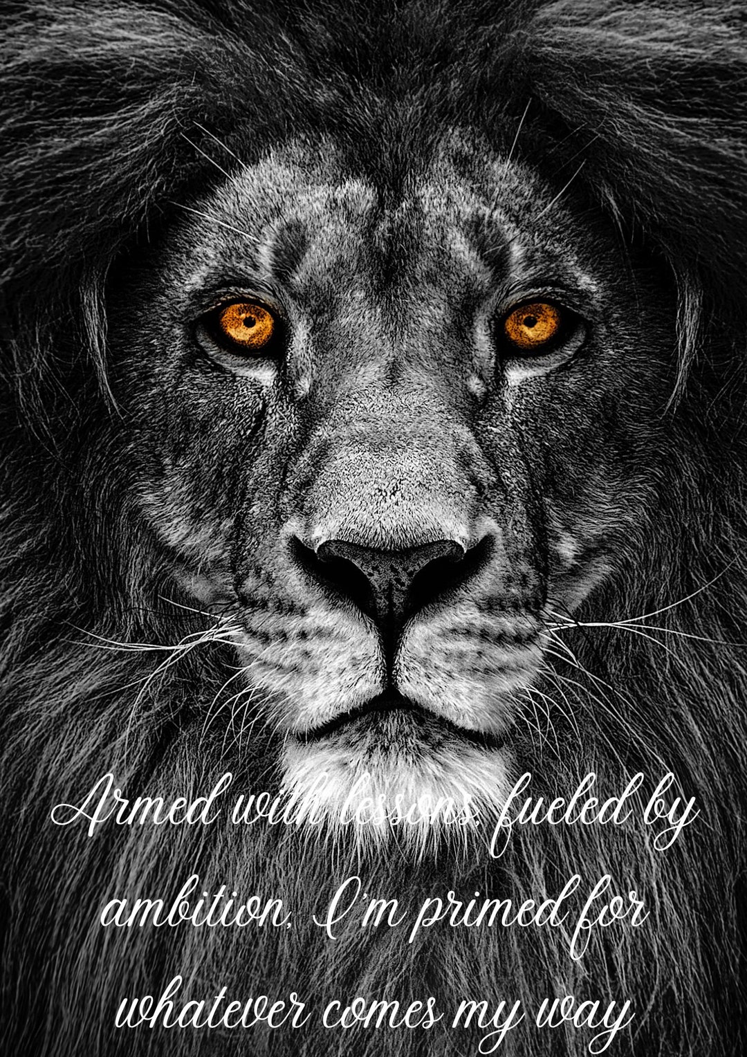 Life Lessons Wall Decor Etsy Canada