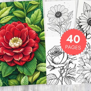 40 Coloring Pages Flower, Printable PDF JPEG, Coloring Book for Adults and Kids, Fashion Coloring Sheets, Digital Download