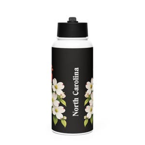Stainless steel water bottle with a straw lid