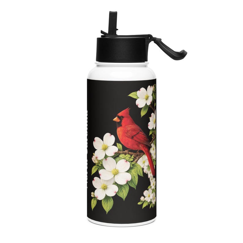 Stainless steel water bottle with a straw lid