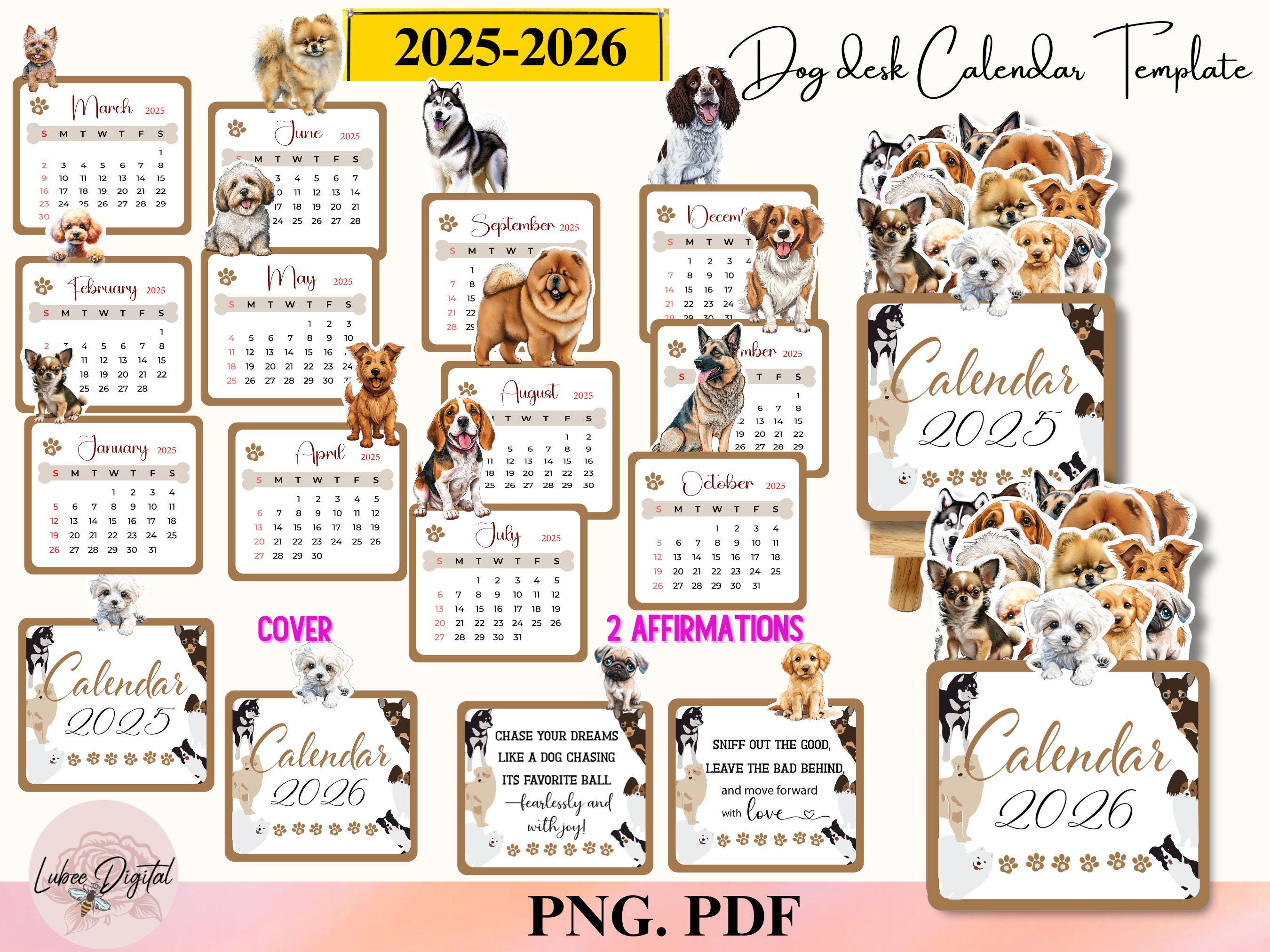 Seelenzauber Wandkalender Tierzauber Lustige Hunde DIN A5 Kalender für