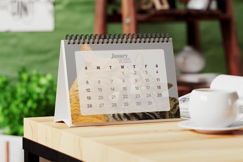 May include: A desk calendar with a cat on the cover. The calendar is open to January 2025 and shows the days of the week and the numbers for each day. The cat is a tabby with brown and white fur.