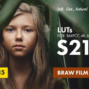 Pack LUT S21 pour BMPCC 4K gen5