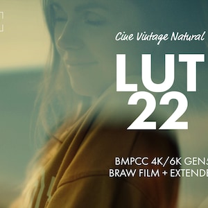 Pack LUTs-22 BMPCC 4K/6k FILM BRAW + Extendet