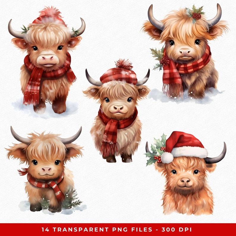 Watercolor Christmas Highland Cow Clipart: Festive Nursery PNG (digital ...