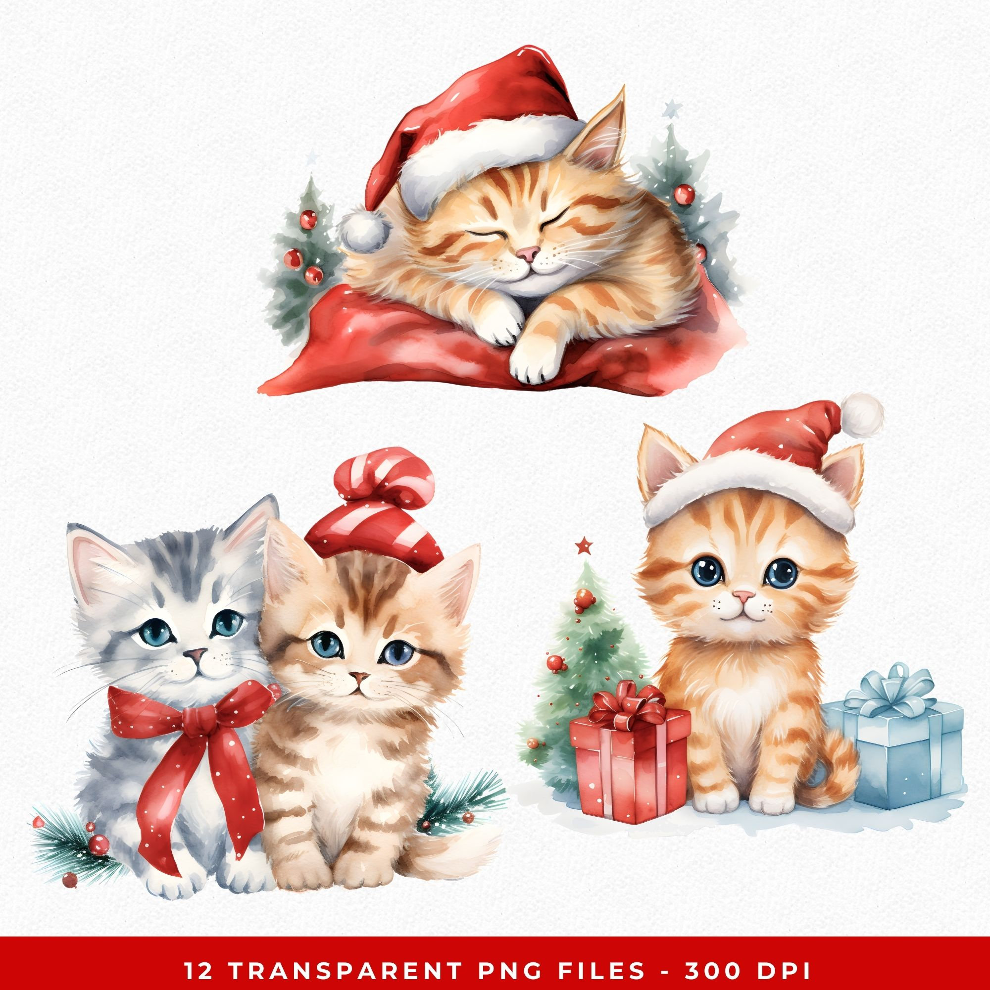 Watercolor Christmas Kitten Clipart: Holiday Cat PNG (commercial Use ...