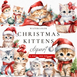 Clipart chaton mignon de Noël Illustration de chat aquarelle, PNG des cliparts Kitty cats, chat de vacances, sublimation de chaton pour un usage commercial