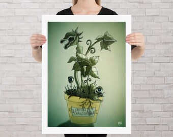 Carnivorous Plants In A Pot