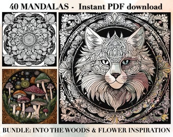 Combo Mandala colouring books | 40 pages for adults and teens | Printable PDF coloring pages | Instant Download | A4 and 8.5x11”