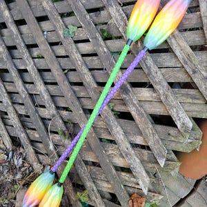 May include: Two juggling clubs with rainbow-colored teardrop-shaped heads and braided handles. One club has a green handle, and the other has a purple handle. The clubs are set against a weathered wooden fence.