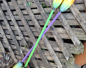 Practice Double Staff Set
