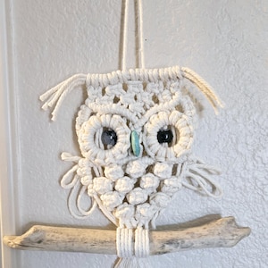 Könnte beinhalten: Ein weißer Makramee-Eulen-Wandbehang mit einem Treibholzast und türkisfarbenen Perlen für die Augen.