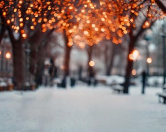 Winter digital backdrop, photoshop background, studio, photography, christmastime