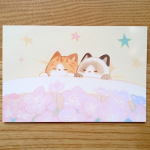 Estampa floral fofa de gato sonolento, gato adorável, estampas de animais, estampas de flores, ilustração Kawaii, cartão postal de gato