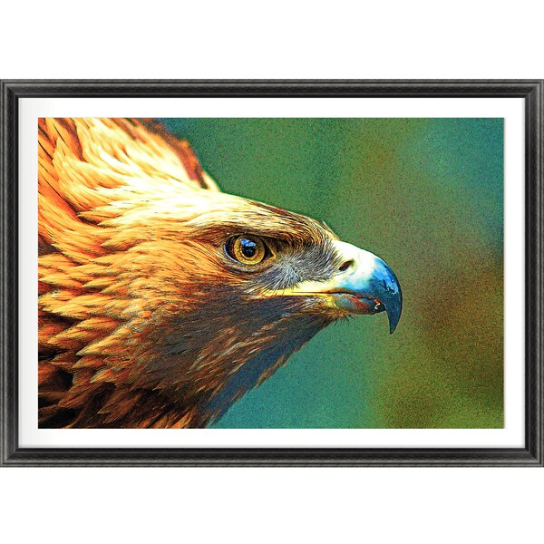 Eagle Close Up | Superb Original Digital Art Print | Top Designers | PRINTABLE Digital Download | Premium Colourful Wildlife Wall Art