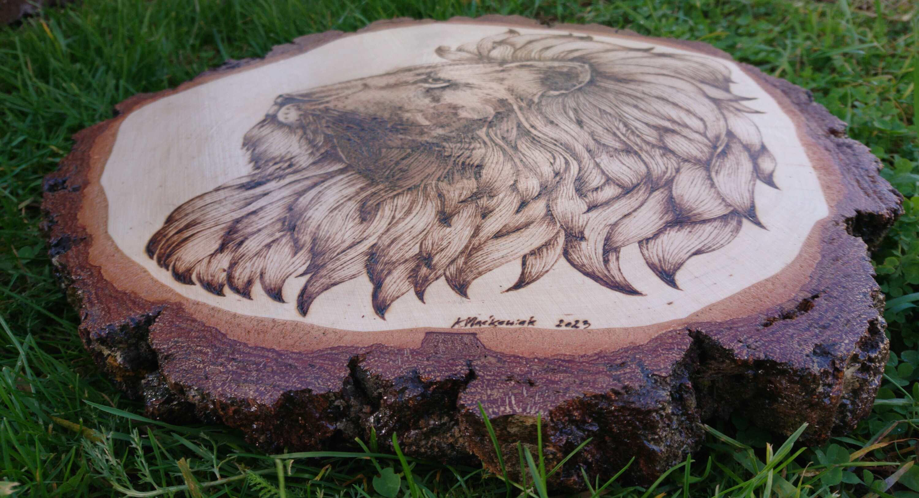 Portrait of a Lion/ Woodburning Art Lion/ Custom Art Woodwork / Wild ...