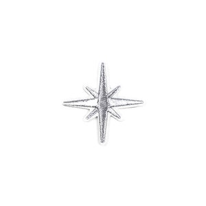May include: A silver star-shaped patch with a pointed center and eight points.