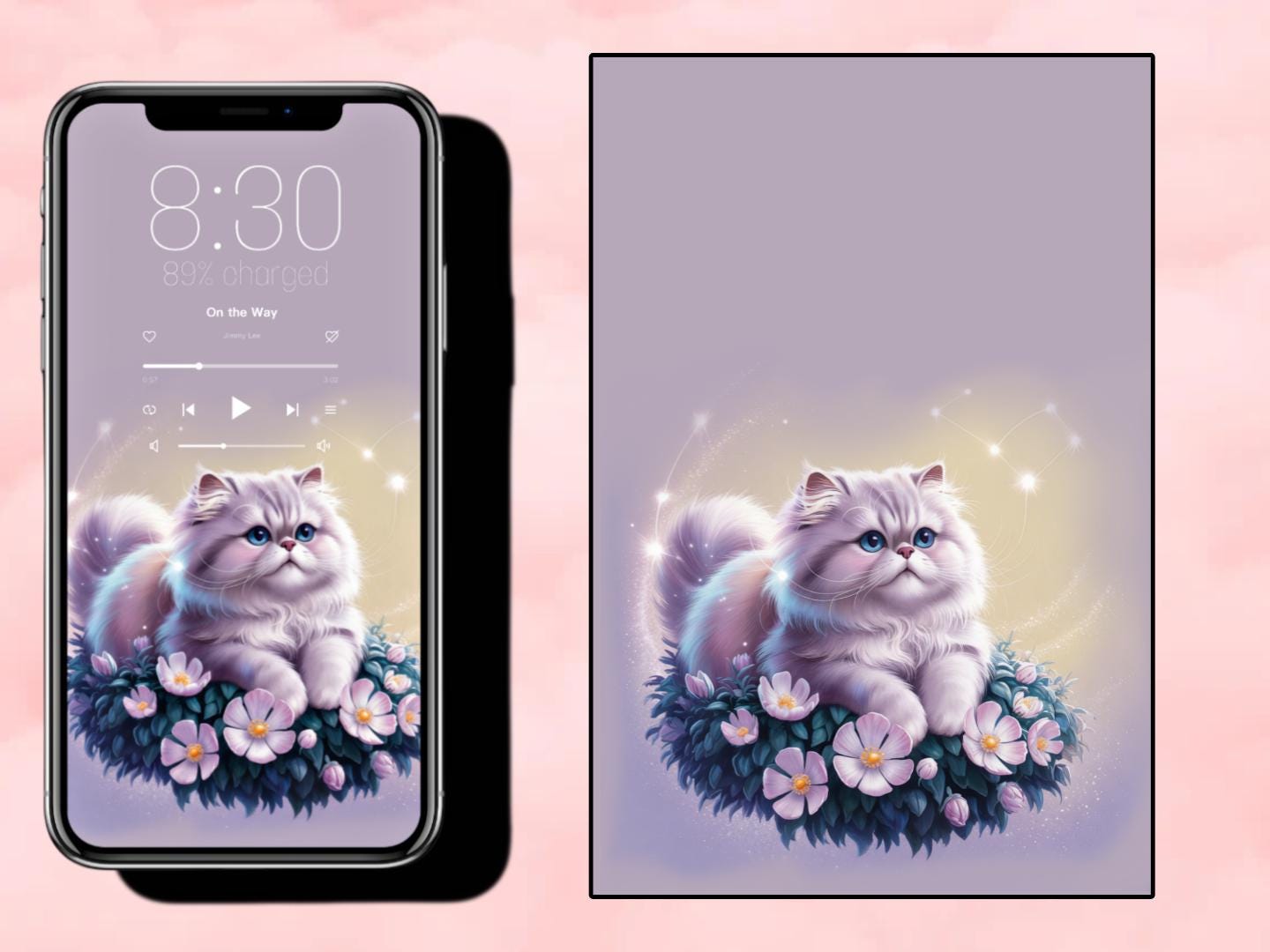 白、 灰色、 猫、 背景、 グレースケール、 写真、 プロファイル、 シルエット、 飼い猫、 1匹の動物、 ペット | Hippopx, image size:1440x1080