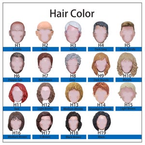 May include: A chart titled "Hair Color" displays 19 different hair color options. Each option is represented by a small, stylized head with a different hair color, ranging from bald to black. The chart includes labels for each color.