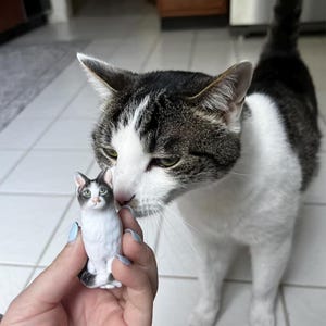Personalized custom cat wedding cake topper,Pet CakeTopper,Pets Birthday,Cat caketopper,Anniversary Pet,Cat Figurines,Cat Birthday,Dog gifts
