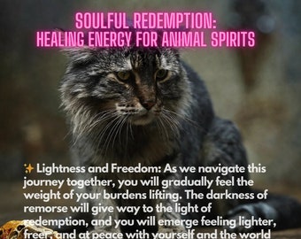 Spiritual Redemption Healing Energy for Animal Spirits, I Apologize to My Animal, Repentance, Asking for Forgiveness