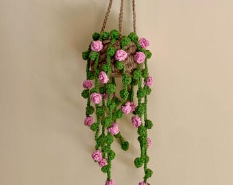 Crocheted Hanging Vine Plant with Macrame Hanger, Plant Home Decor, Cute Plush Succulent,  Hanging Ornament, New Home Gift, Kitchen Decor