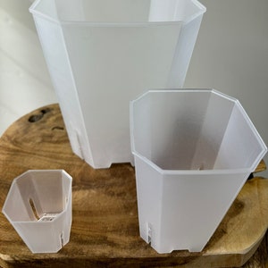 Transparent square plant pots in 5 sizes