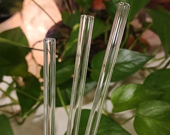 Glass Straw - 8 inch