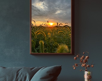 Beautiful Sunset ,Photo, Nature Photography, Digital Image For Sale, Wall Decor, Printable, Digital Download