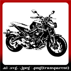 MT 09