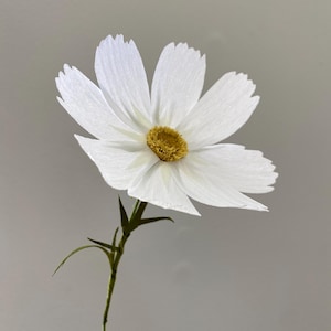 MADE TO ORDER | Handmade, Hand Dyed, Crepe Paper Cosmo (white)