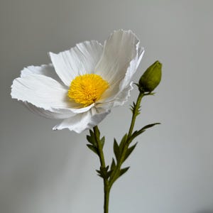 MADE TO ORDER | Handmade, Hand Dyed, Crepe California Tree Poppy |