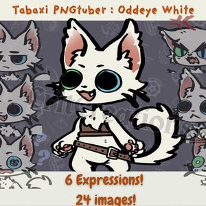 Odd-Eyed Tabaxi PNGtuber Avatar: Animated Cat PNGTuber (Veadotube Mini) 6 expressions