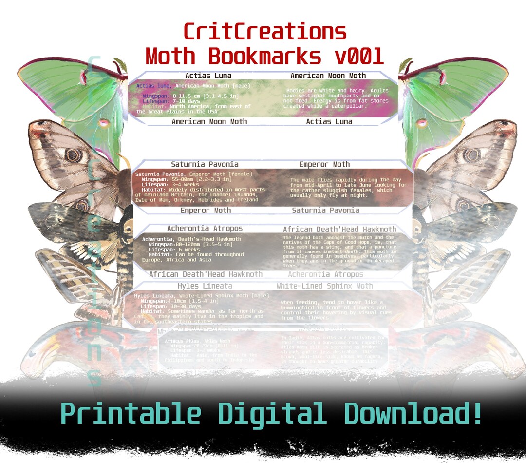 Handcrafted 3D Realistic Paper Moth, Printable Bookmark Digital ...