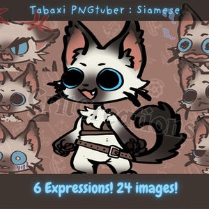 Siamese Tabaxi PNGtuber Avatar: Animated Cat PNGTuber (Veadotube Mini) 6 expressions