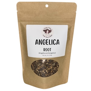 Angelica Root to Invigorate your spirit and Shield Against Psychic Attacks