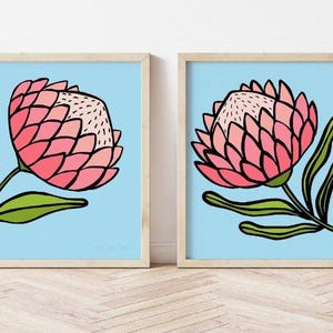 May include: Two framed prints of a pink protea flower with green leaves on a light blue background.