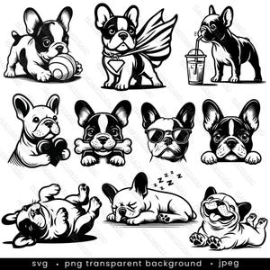 Pacote SVG de Bulldog Francês - 10 designs. Mãe Frenchie, Pai Frenchie, Bulldog Francês Espreitando, Bulldog Francês, Bulldog Francês png, Bulldog vetor