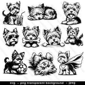 Yorkshire Terrier SVG-bundel: 10 ontwerpen. Yorkie-svg, Yorkshire Terrier-moeder, Yorkshire Terrier-png, yorkshire-terriër vectorsilhouet