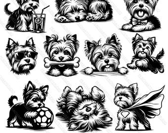 May include: A set of ten black and white illustrations of Yorkshire Terriers in various poses. The dogs are depicted in a cartoon style with exaggerated features. Some of the dogs are wearing accessories, such as sunglasses, a bow tie, and a cape.
