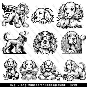 Cocker Spaniel Clipart svg bundle - 10 designs. Spaniel Dog Images, Printable JPGs, Instant Download, Commercial Use, Paper craft