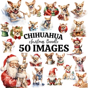 Christmas Dogs Clipart Bundle - 50 Chihuahua PNGs | Cozy Holiday Puppy Graphics | Chihuahua Clipart | Cute Dog Clipart | Chihuahua Mom