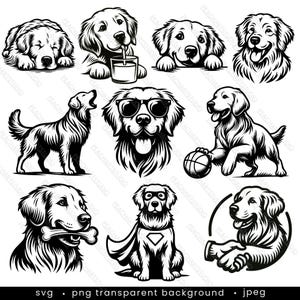 Gluren Golden Retriever Svg-bundel-10 ontwerpen. Golden Retriever Clipart, Golden Retriever Svg-bestanden Cricut, hond Svg-bestanden, Dog Mama Svg
