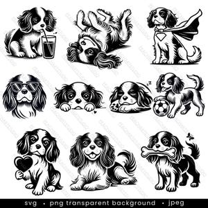 Cavalier King Charles Spaniel SVG & PNG Clipart Bundle: 10 designs. Dog Clipart, Cricut Cut Files, Pet Lover Gift, Printable Clipart dog svg