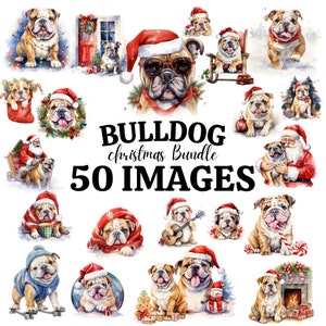 Christmas Dogs Watercolor Clipart Bundle- 50 PNG Festive Bulldog, Cozy Holiday Puppy Graphics, Instant Digital Download, Commercial Use