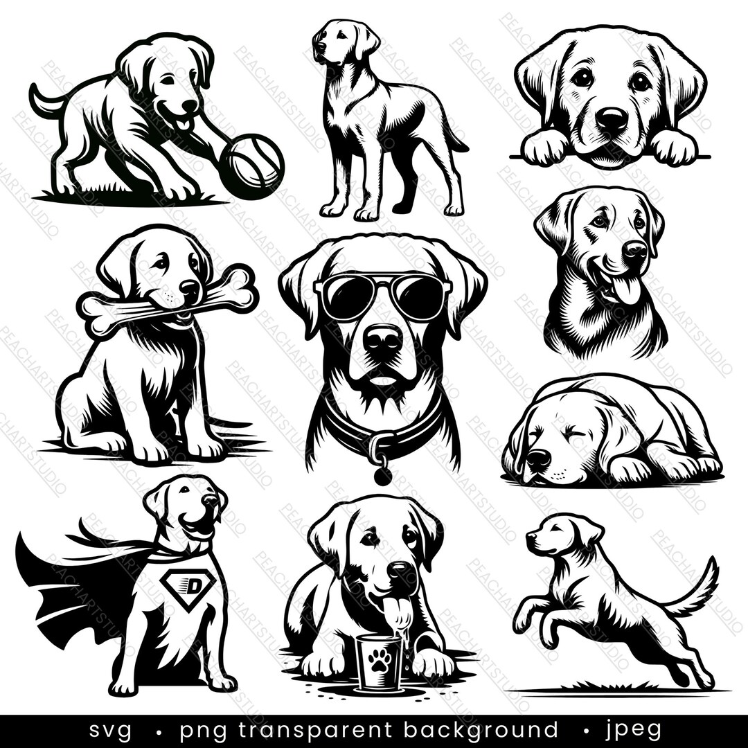 Labrador Retriever Clipart Bundle – 10 Dog SVG PNG Designs (digital ...