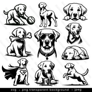 Labrador Retriever SVG PNG Bundle - 10 designs. Labrador Retriever Svg, Pet Dog Illustration Pack, Dogs Cut Files for Cricut, Dogs Clipart
