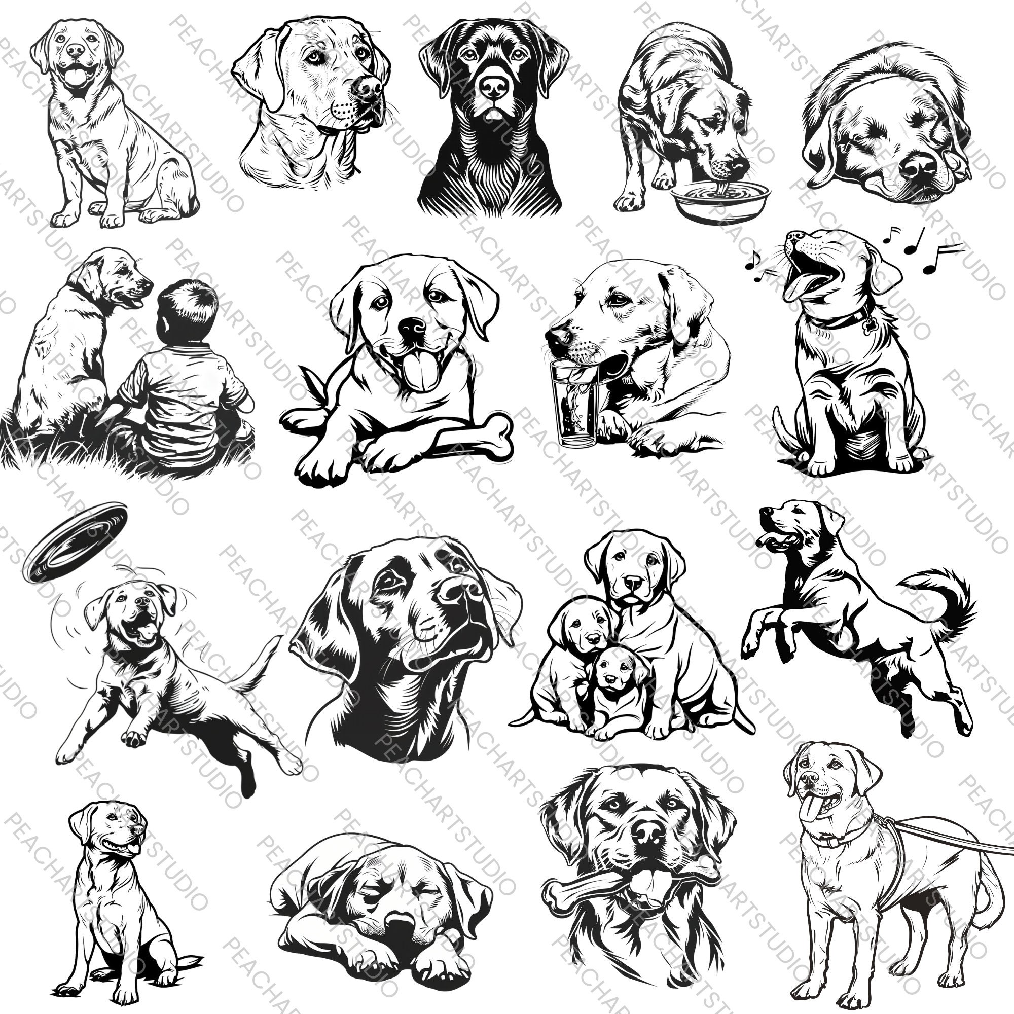 Labrador Retriever Clipart Bundle Svg - 50 Images, Dog Owner Gift for ...