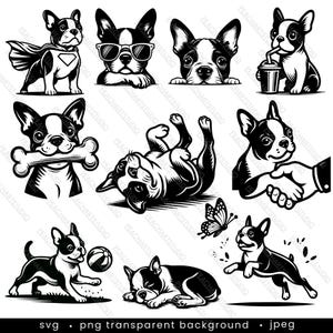Svg boston terrier furtif - 10 modèles. Clipart furtivement de Boston Terrier, fichiers Svg de chien de Boston Terrier furtivement pour Cricut Svg, chien mignon png