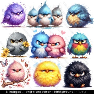Grumpy Birds Clipart - 18 wzorów. Słodkie puszyste ptaki, Cyfrowe pobieranie Clipart, Clipart akwarelowy, Wysokiej jakości PNG, Clipart do druku